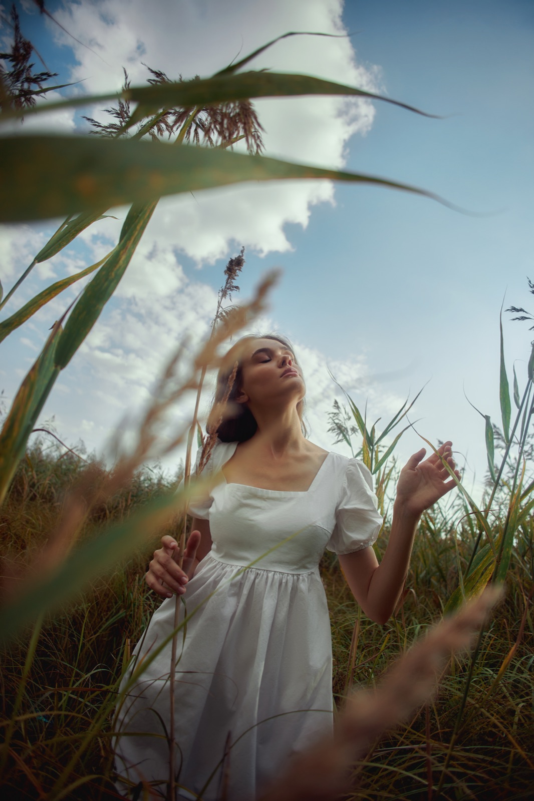 A sunlit field — Évora’s connection to nature and place