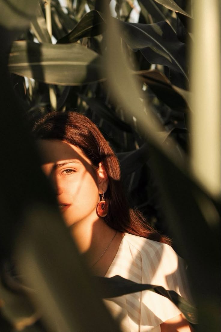 Transparency — light through leaves
