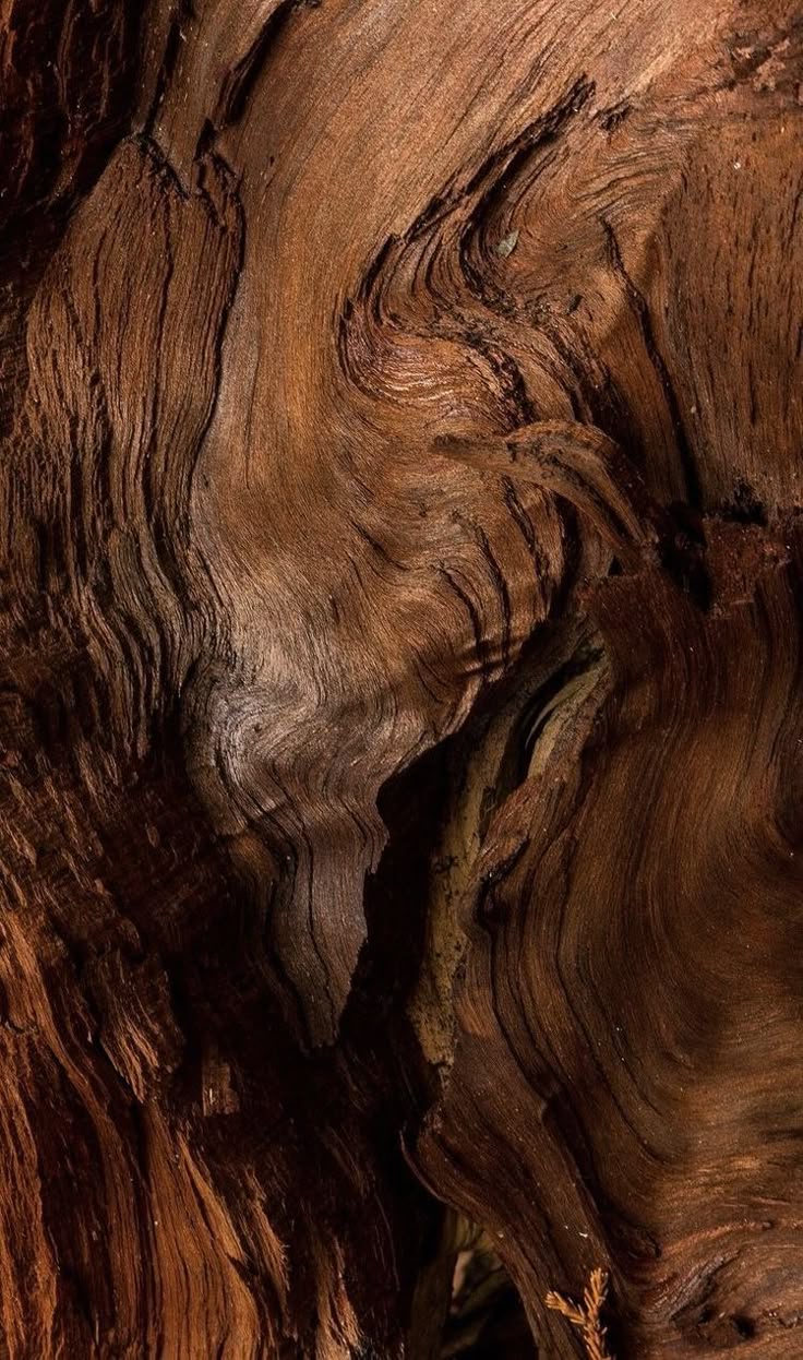Trust — natural wood grain